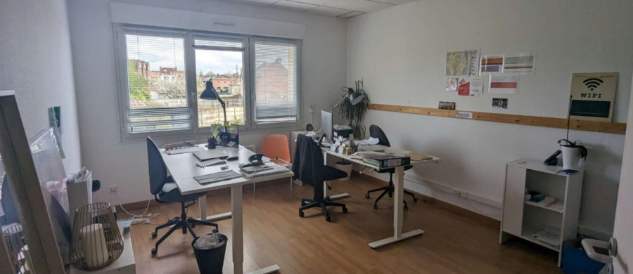 Image relative à l'annonce