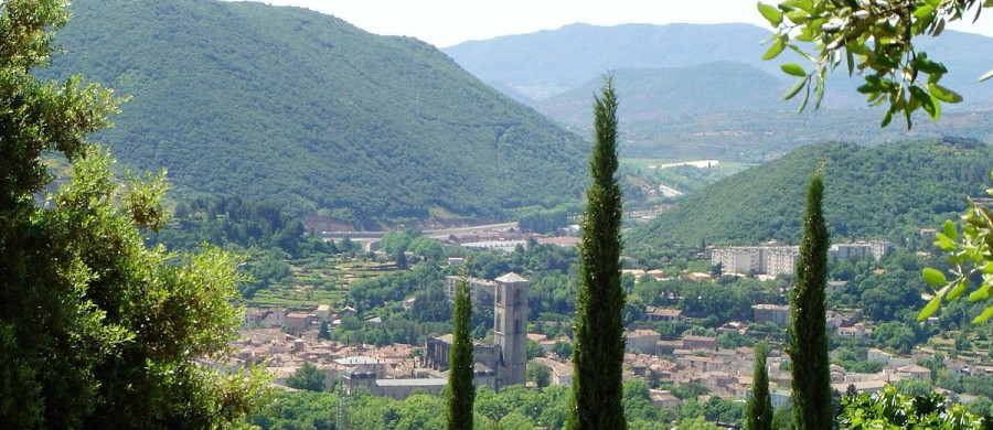 Image relative à l'annonce