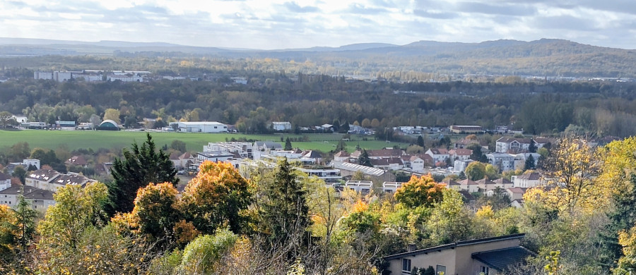 Image relative à l'annonce