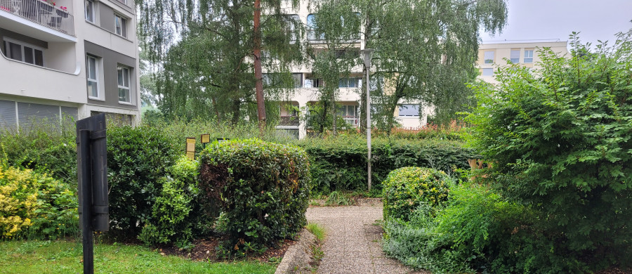 Image relative à l'annonce