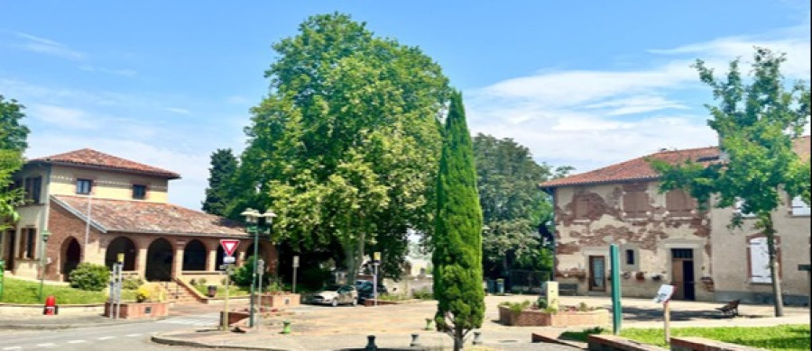 Image relative à l'annonce