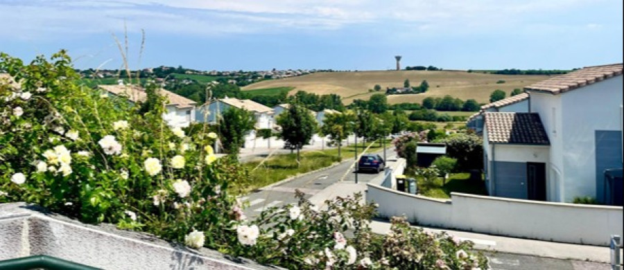 Image relative à l'annonce