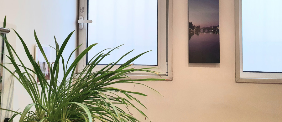 Image relative à l'annonce