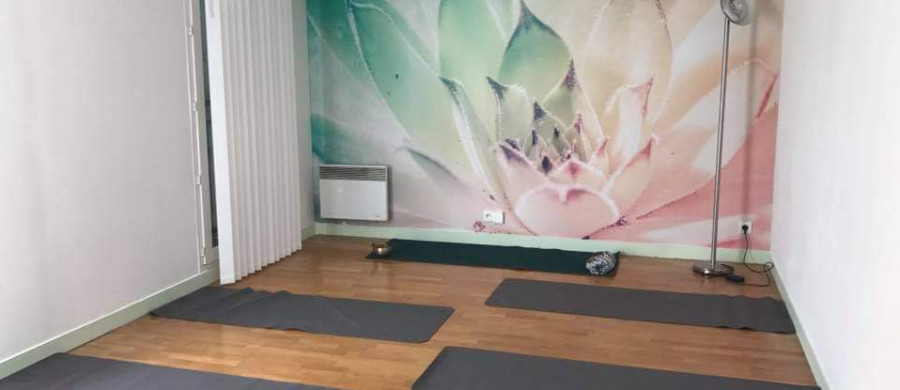 Image relative à l'annonce