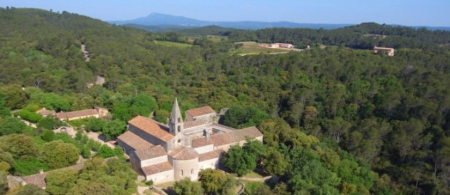 Image relative à l'annonce