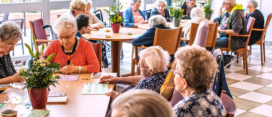 Image relative à l'annonce