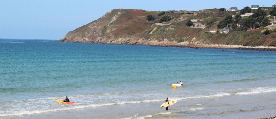 Image relative à l'annonce