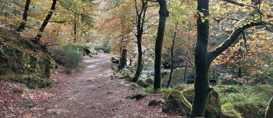 Image relative à l'annonce