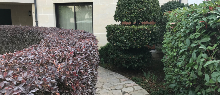 Image relative à l'annonce