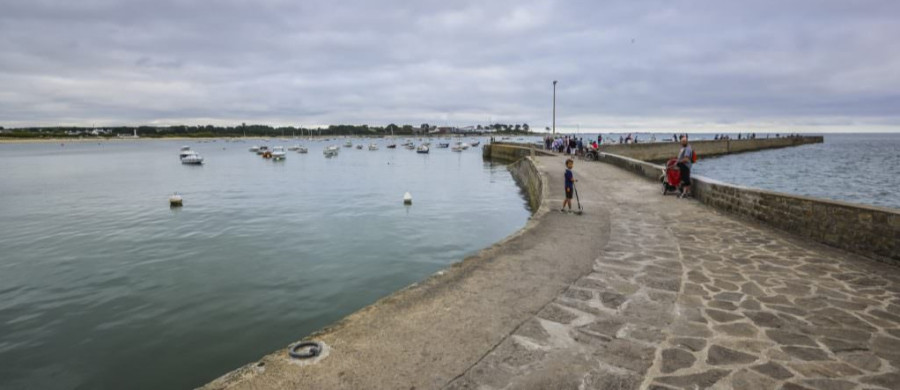 Image relative à l'annonce