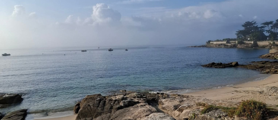 Image relative à l'annonce