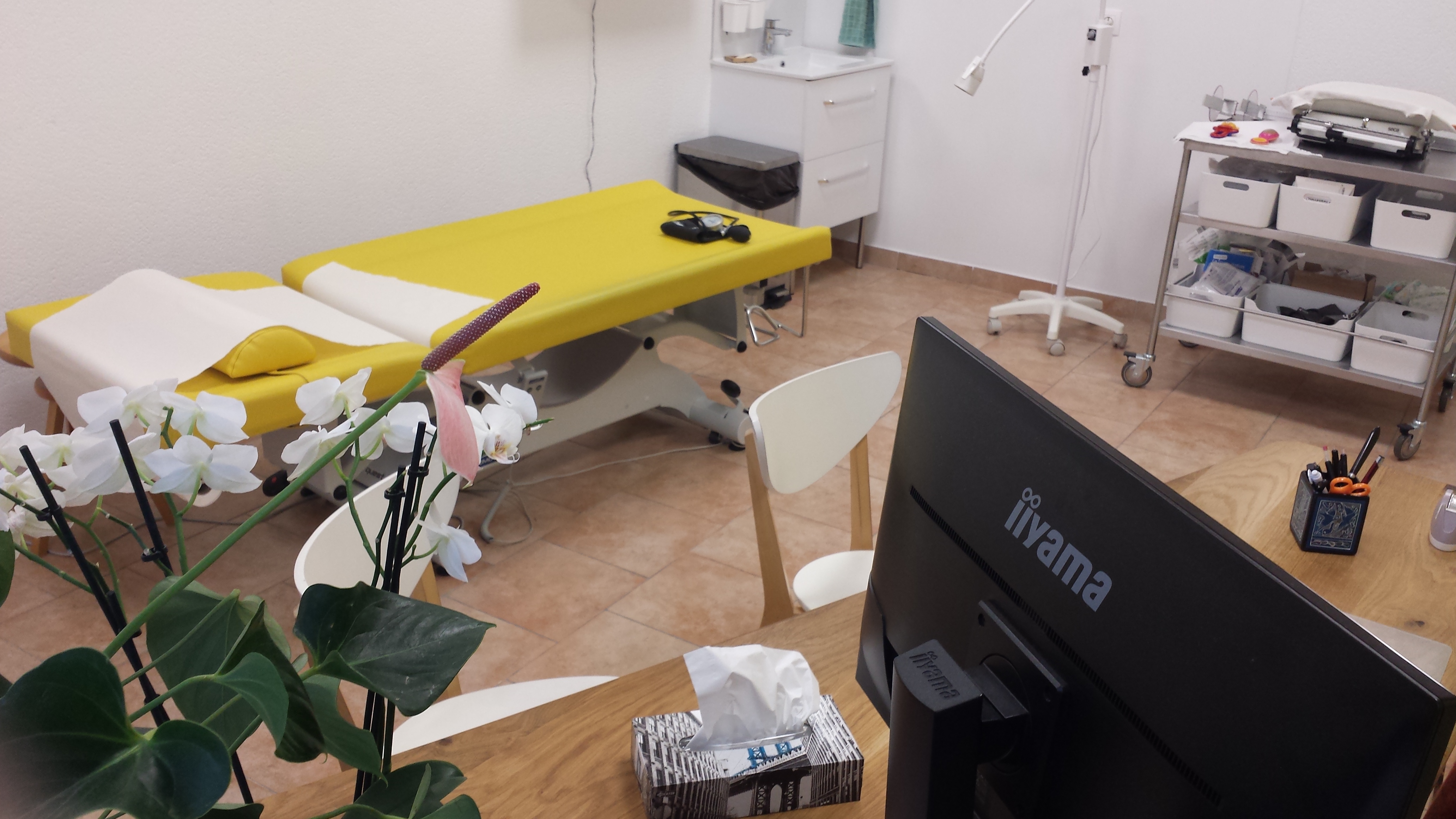 Image relative à l'annonce