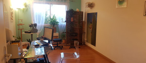 Image relative à l'annonce