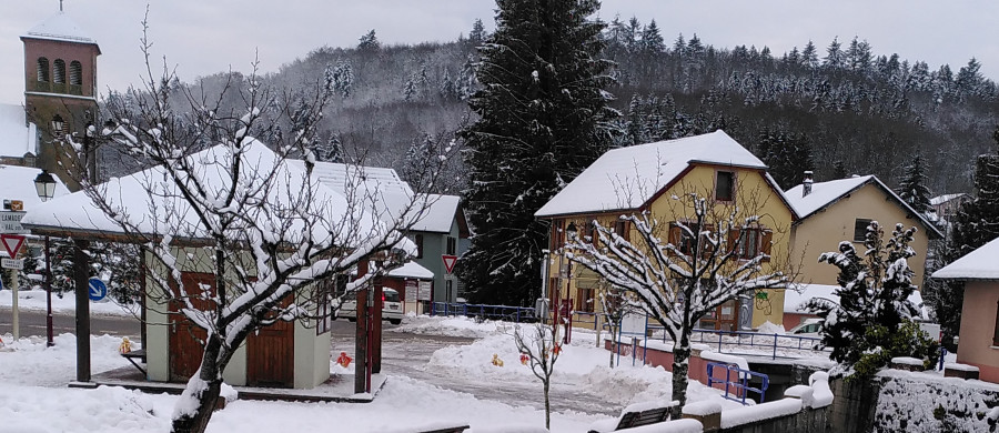 Image relative à l'annonce