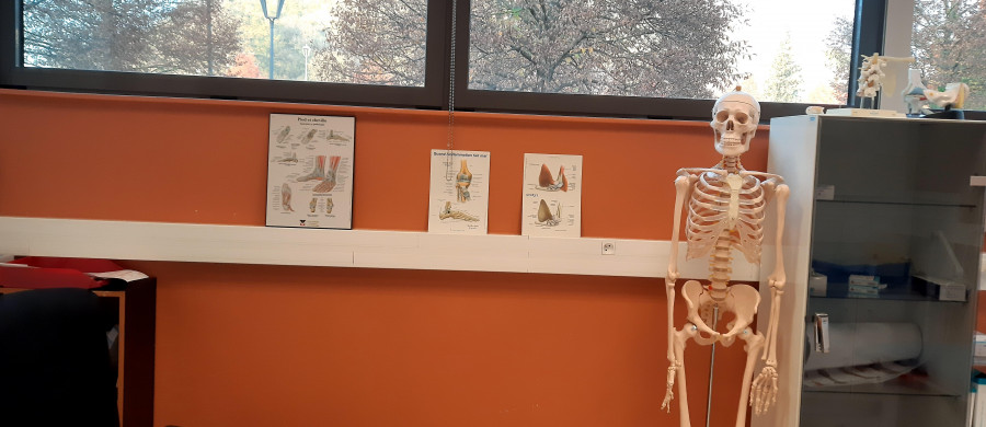 Image relative à l'annonce