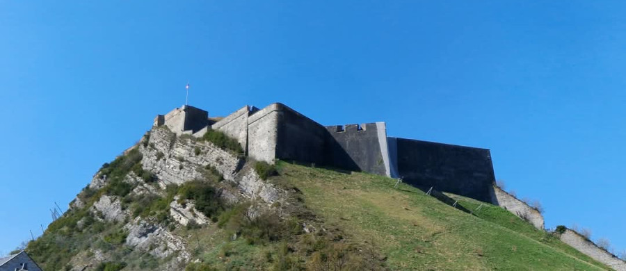 Image relative à l'annonce