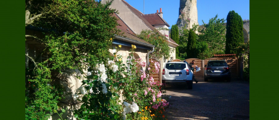 Image relative à l'annonce