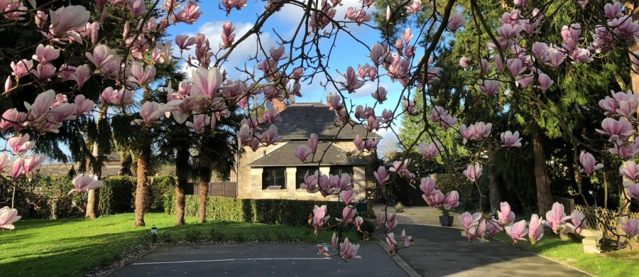 Image relative à l'annonce