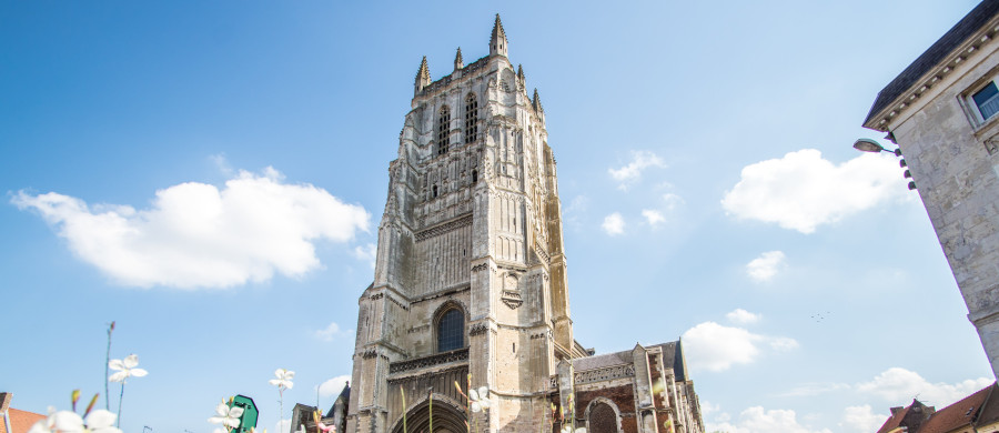 Image relative à l'annonce