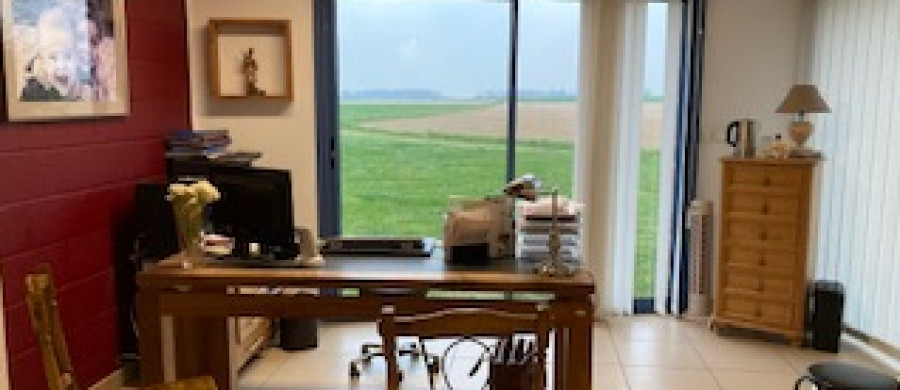 Image relative à l'annonce