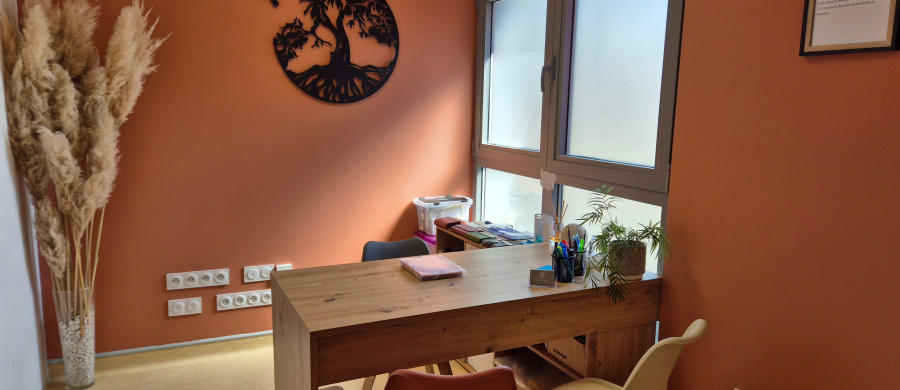 Image relative à l'annonce