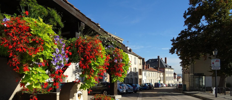 Image relative à l'annonce