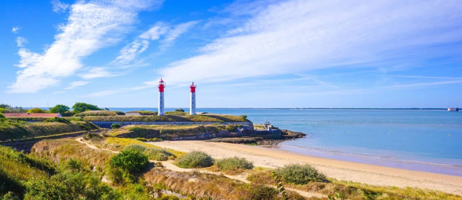 Image relative à l'annonce