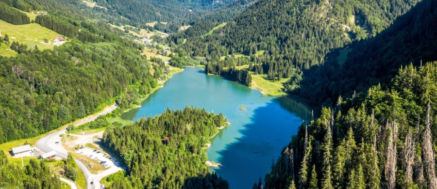 Image relative à l'annonce