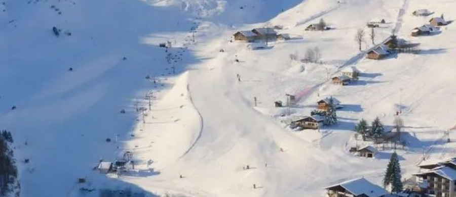 Image relative à l'annonce