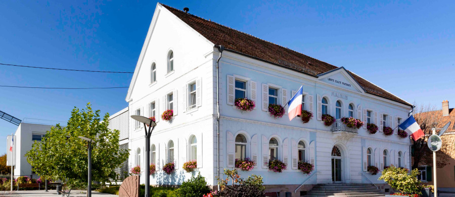 Image relative à l'annonce