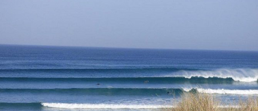 Image relative à l'annonce