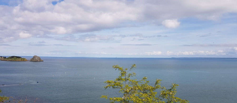 Image relative à l'annonce