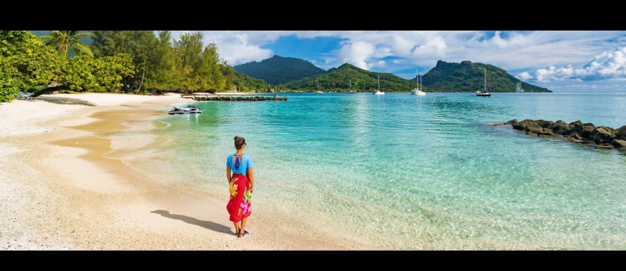 Image relative à l'annonce