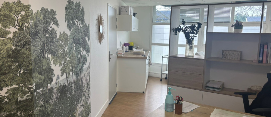 Image relative à l'annonce