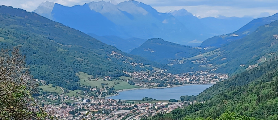 Image relative à l'annonce