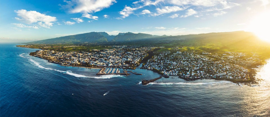 Image relative à l'annonce