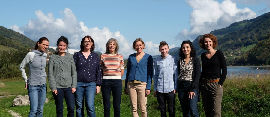 Image relative à l'annonce