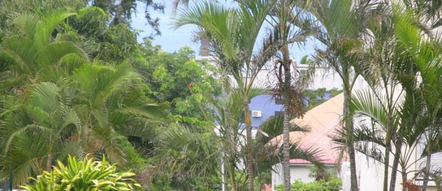 Image relative à l'annonce