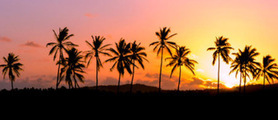 Image relative à l'annonce