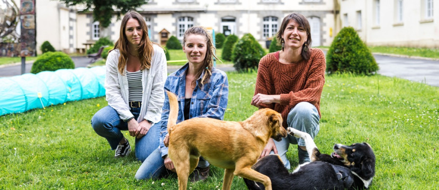 Image relative à l'annonce