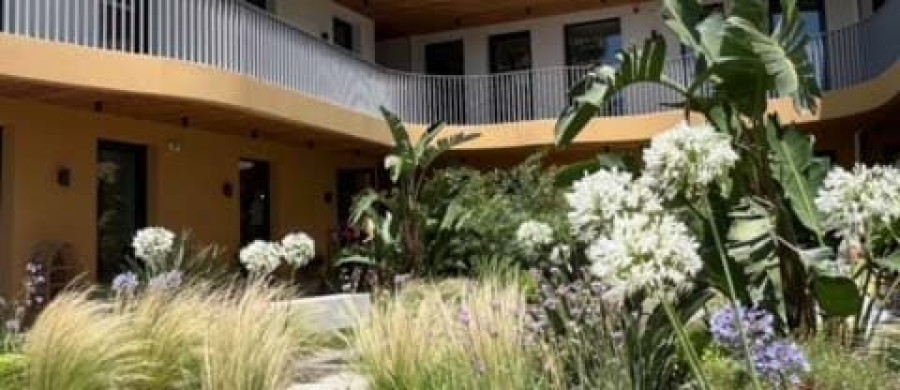 Image relative à l'annonce