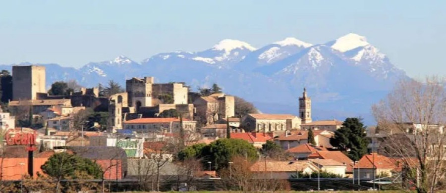 Image relative à l'annonce