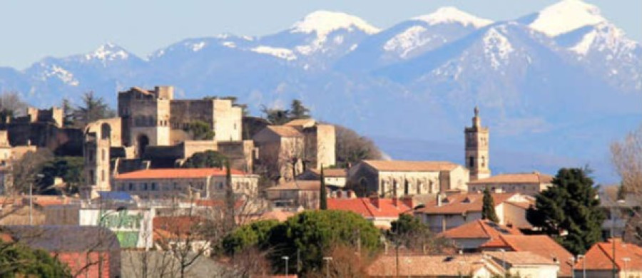 Image relative à l'annonce