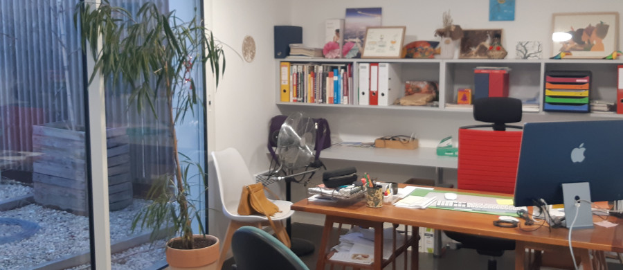 Image relative à l'annonce