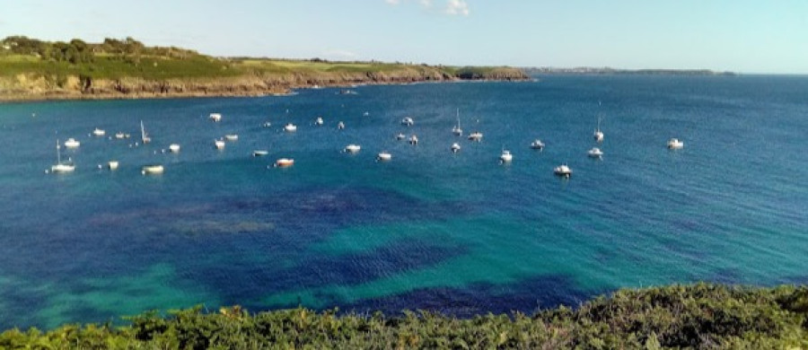 Image relative à l'annonce