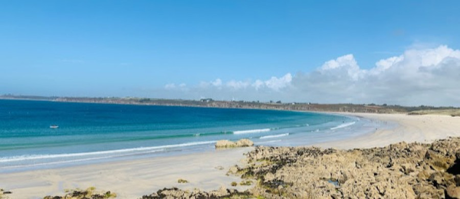 Image relative à l'annonce