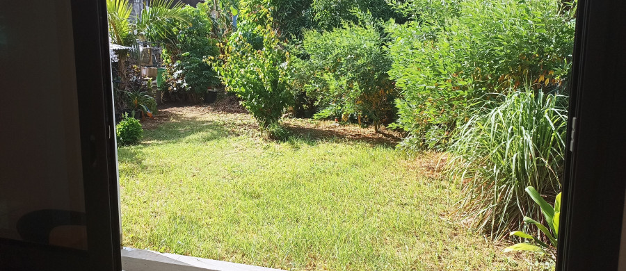 Image relative à l'annonce