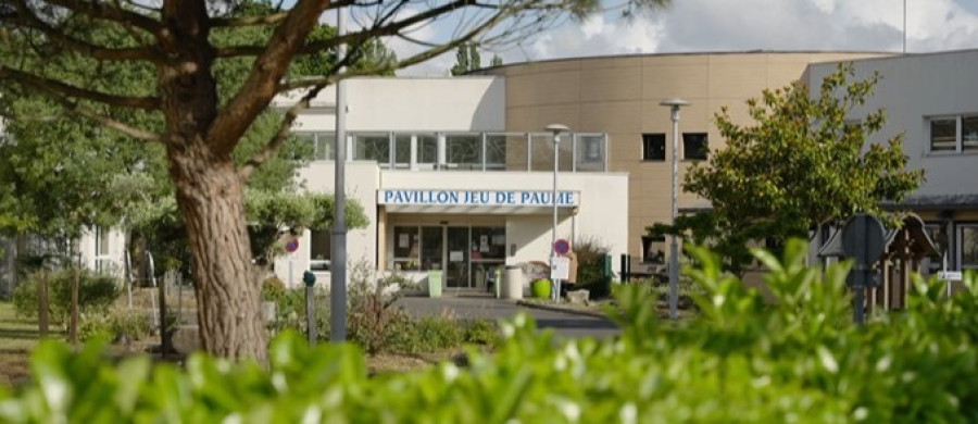 Image relative à l'annonce