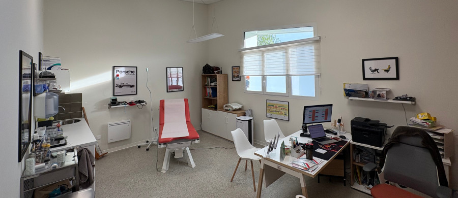 Image relative à l'annonce