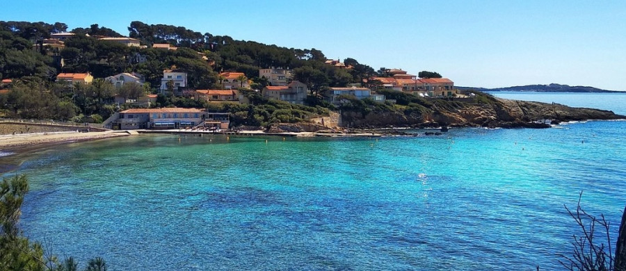 Image relative à l'annonce